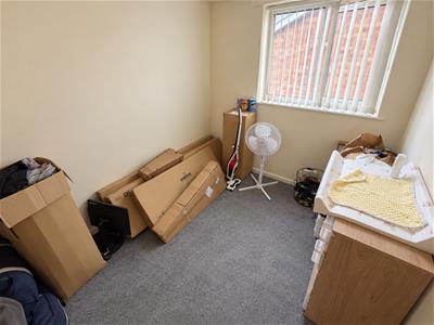 Picture 13